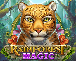 Rainforest Magic